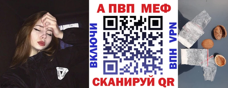 A PVP СК  Славгород 